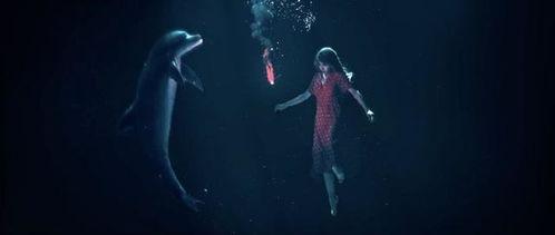 官方百万人鱼爆料视频,官方爆料视频深度解析